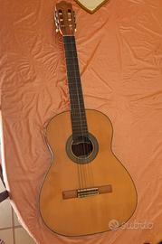 Chitarra Salterio