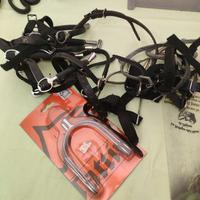 Speroni equitazione vari prezzi e marche