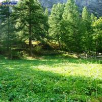 Terreno edificabile - Valgrisenche