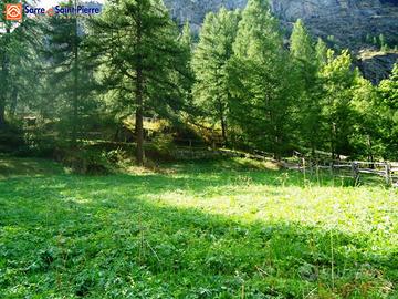 Terreno edificabile - Valgrisenche