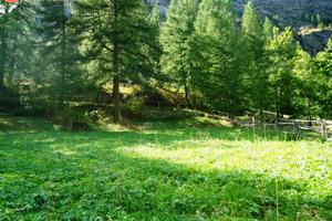 Terreno edificabile - Valgrisenche