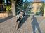 Immagine 1
