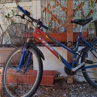 A GAETA - Bici MTB telaio26-PER REALIZZO IMMEDIATO