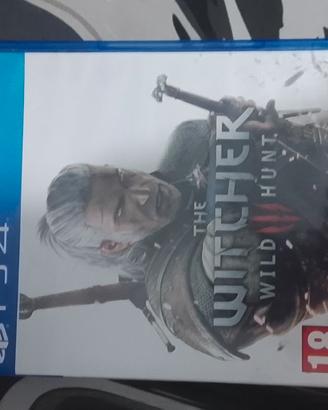 the witcher