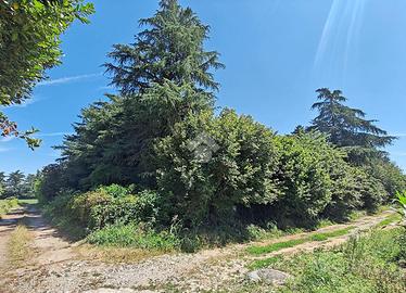 TER. AGRICOLO A CARATE BRIANZA