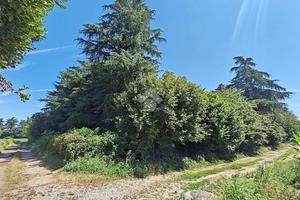 TER. AGRICOLO A CARATE BRIANZA