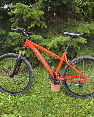 Mountain bike
