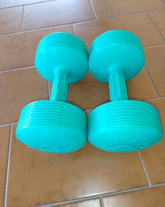 Manubri 5 kg