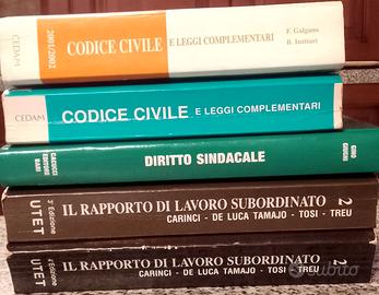 stock Libri Codice Civile Diritto Sindacale etc
