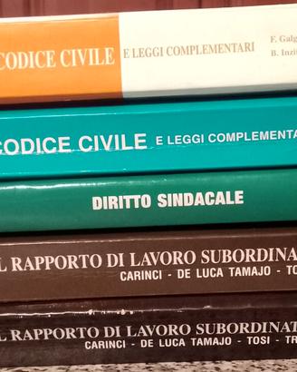 stock Libri Codice Civile Diritto Sindacale etc
