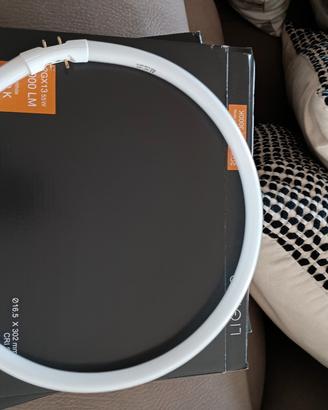 Lampada Warm White  3000k 2GX 13 55W