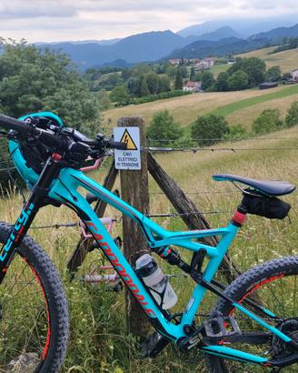 Cannondale habit SE taglia L