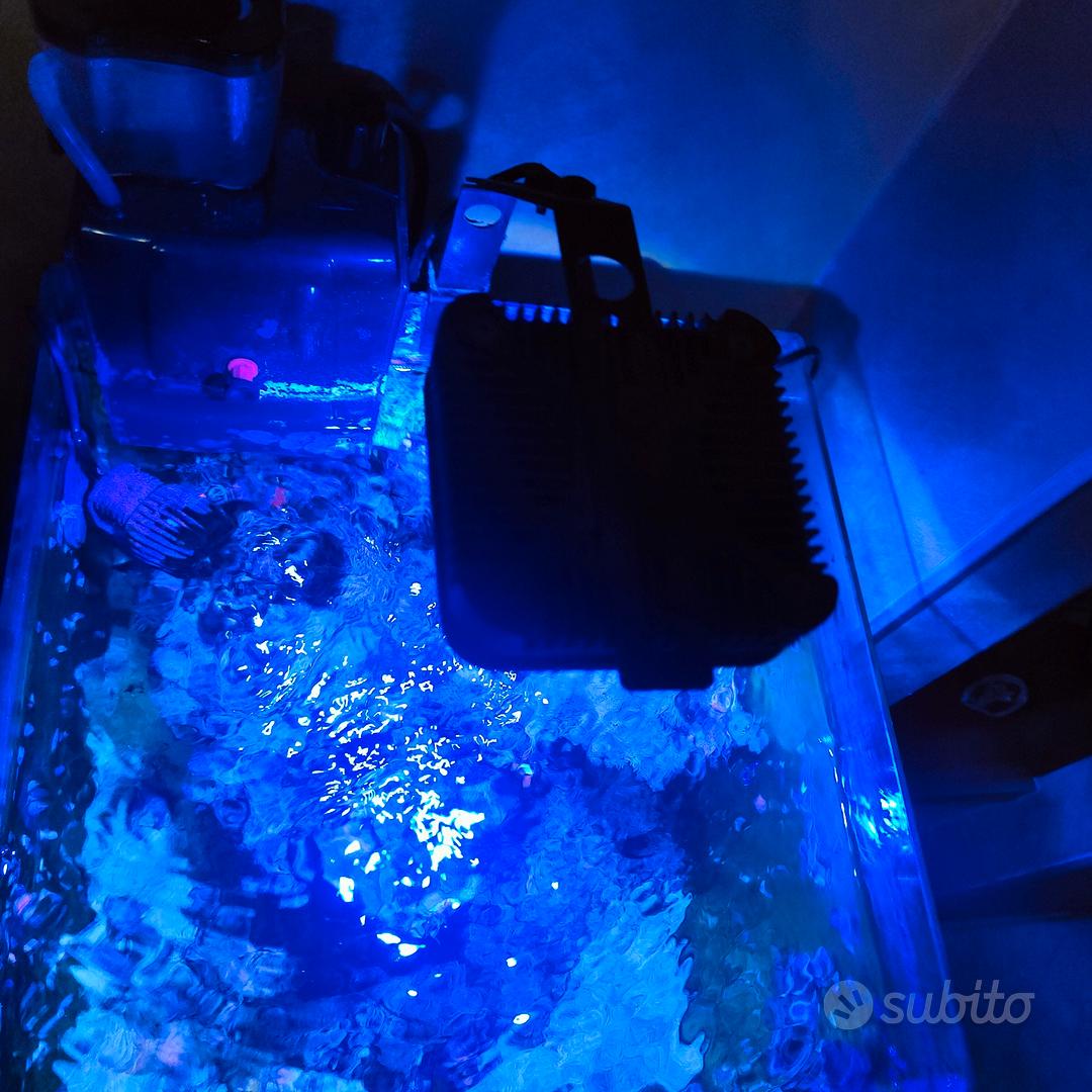 Lampada led acquario marino Lominie Pixie 30 - Accessori per animali In  vendita a Siracusa