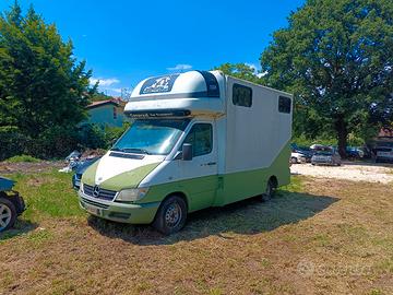 Mercedes sprinter trasporto cavalli patente B