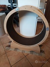 Ruota per gatti