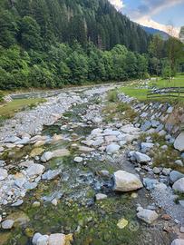Trentino Pinzolo Campiglio Rendena Dolomiti fresco