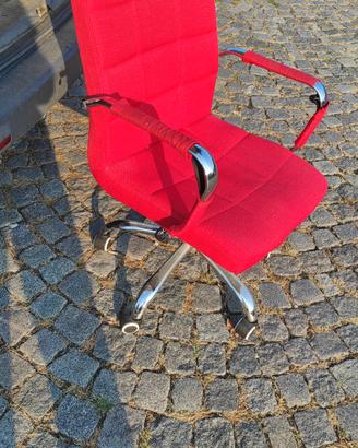 sedia con rotelle 