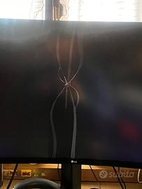 LG UltraGear 34GP63AP SCHERMO ROTTO