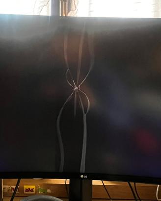 LG UltraGear 34GP63AP SCHERMO ROTTO