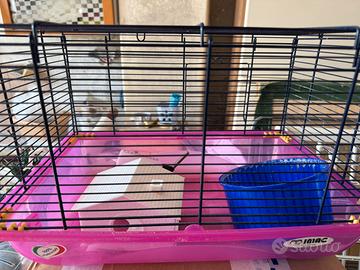 Gabbia per criceto