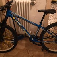 Bicicletta Brera Oxygen Disc 27.5"