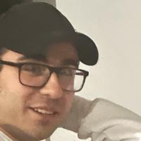 Procione Maltese per accoppiamento