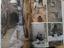 Immagine 3