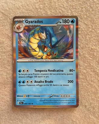 Carte pokemon