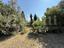 Immagine 10