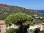Immagine 14