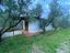 Immagine 15
