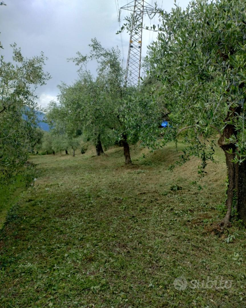 Uliveto - Vista 2