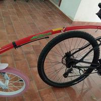TRAIL GATOR trasporto bici bambino