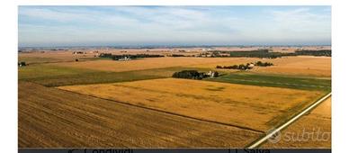 Terreno agricolo Avetrana