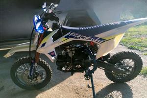 Pit Bike Profive 125 4t  cerchi gommati 12/14