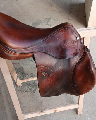 sella inglese pessoa 17 1/2 cavallo