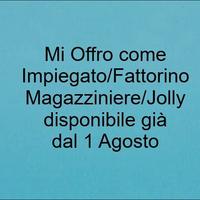 Jolly:Impiegato/tecnico/fattorino/remote working