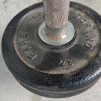 Pesi per attività fisica