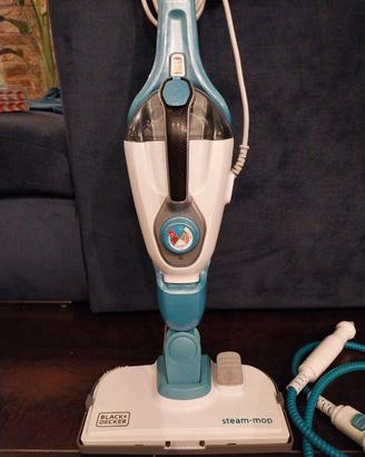 Steam mop