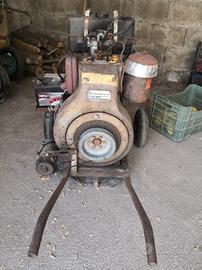motore a scoppio per irrigazione 