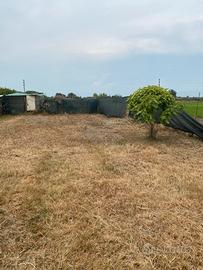 Terreno agricolo