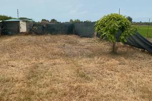 Terreno agricolo