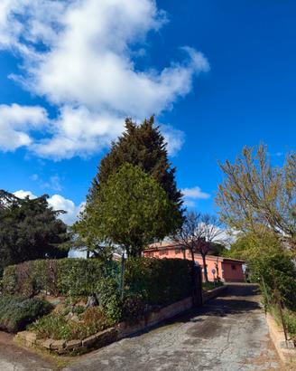 Casa Vacanze La Marchigiana