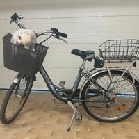 Bicicletta Elettrica