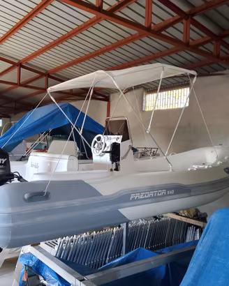 gommone Predator 540 con Mercury 40 PRO