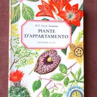Piante d'appartamento - Peyrot Maddalena - anni 60