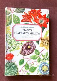 Piante d'appartamento - Peyrot Maddalena - anni 60