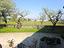 Immagine 12