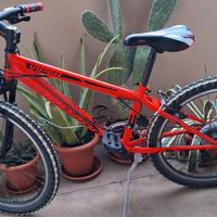 MTB VIPER TORPADO - 24" CAMBIO SHIMANO