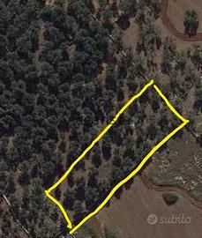 Vendita di terreno in strada Comunale Giuggianello